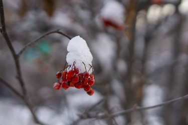 Similar image 21685448