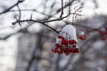 Similar image 21685449