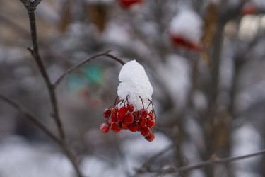 Similar image 21685450