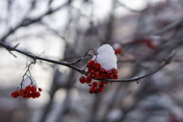 Similar image 21685451