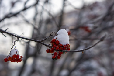 Similar image 21685452