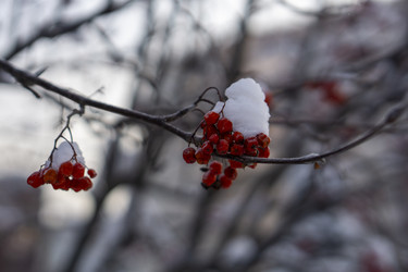 Similar image 21685453