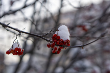 Similar image 21685454