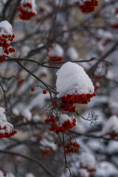 Similar image 21685455