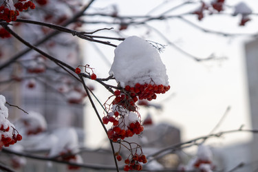 Similar image 21685456