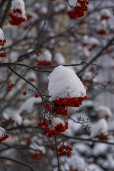 Similar image 21685457