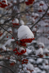 Similar image 21685458