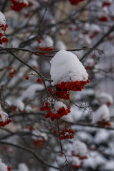 Similar image 21685460