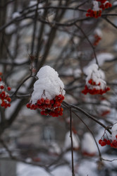 Similar image 21685461