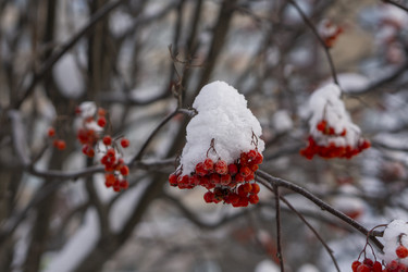 Similar image 21685462