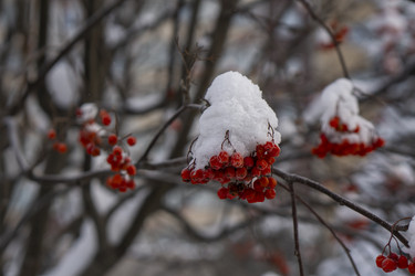 Similar image 21685463