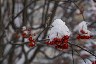 Similar image 21685465