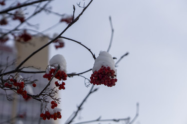 Similar image 21685466