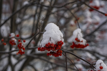 Similar image 21685467