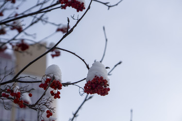 Similar image 21685468