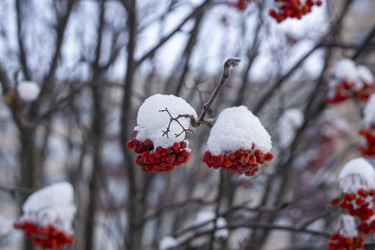 Similar image 21685469