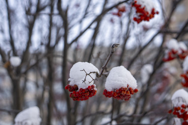 Similar image 21685470