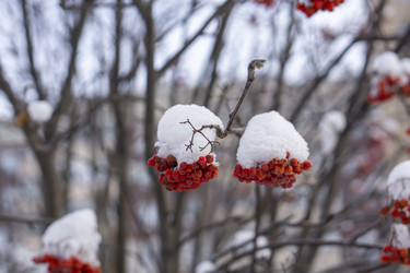 Similar image 21685471