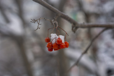 Similar image 21685472