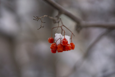 Similar image 21685474