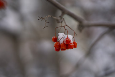 Similar image 21685475