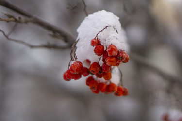 Similar image 21685476