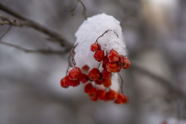 Similar image 21685477