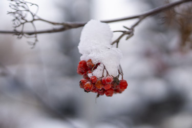 Similar image 21685480