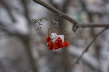 Similar image 21685481