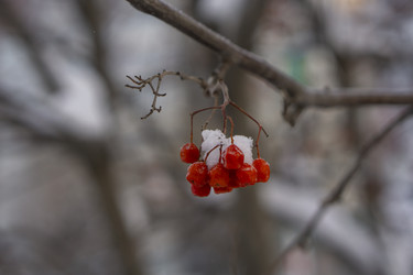 Similar image 21685482