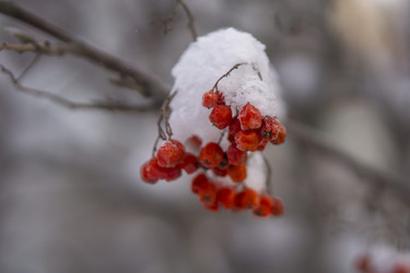 Similar image 21685483