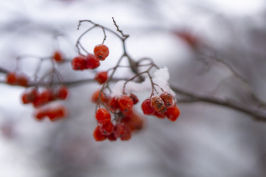 Similar image 21685484