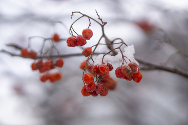 Similar image 21685485