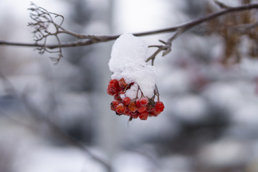 Similar image 21685486