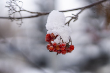 Similar image 21685487