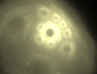 Similar image 21685488