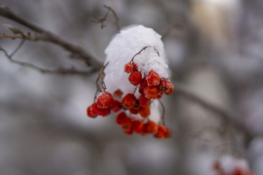 Similar image 21685495