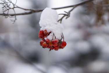 Similar image 21685496