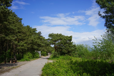 Similar image 21686013