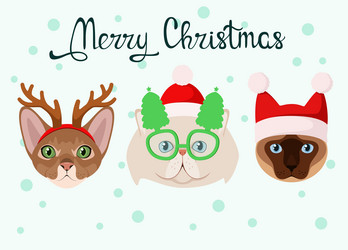 Similar image 21686553