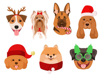 Similar image 21686556