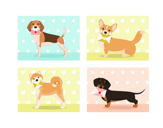 Similar image 21686571