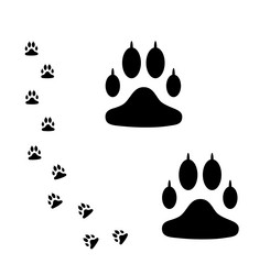 Similar image 21701327