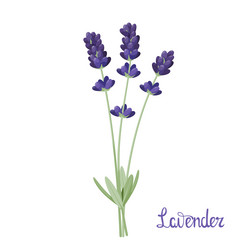 Similar image 21701330