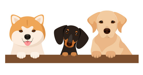 Similar image 21686584