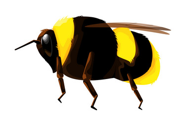 Similar image 21701356