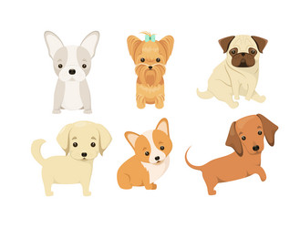 Similar image 21686589