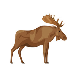 Similar image 21701226