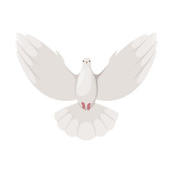 Similar image 21701299