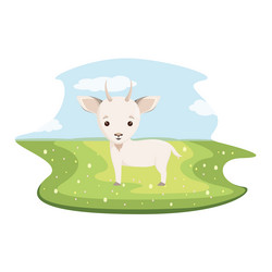 Similar image 21701303